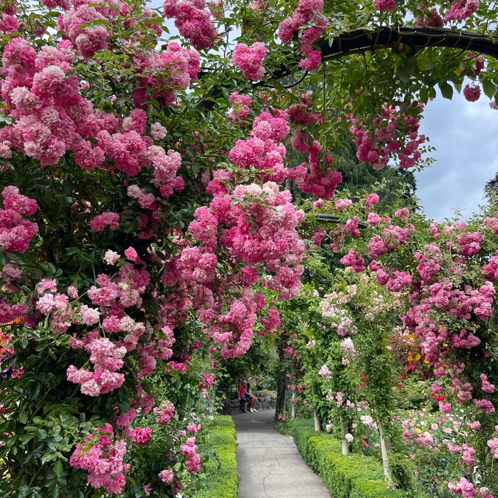 Welcome to my closet